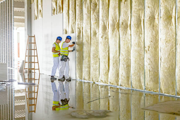 Best Specialized Insulation Services in North Belle Vernon, PA